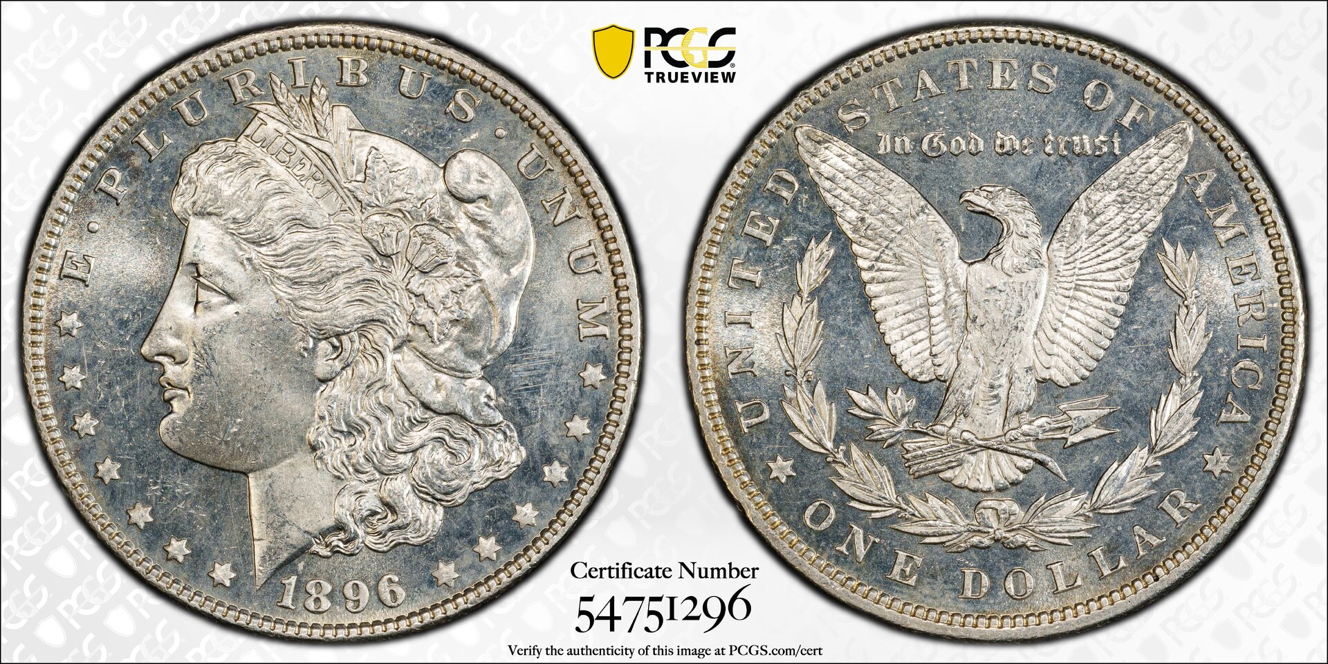 1896 unc details.jpg