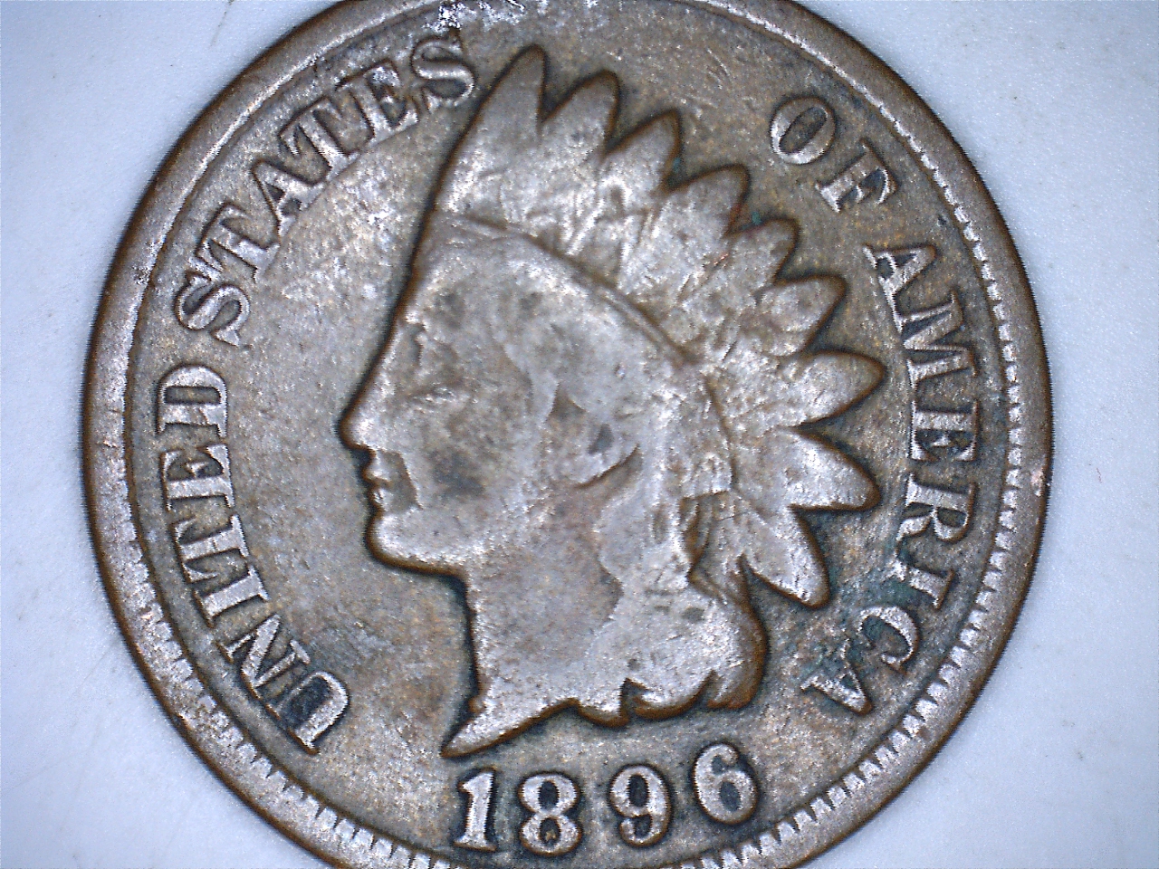 18961.jpg