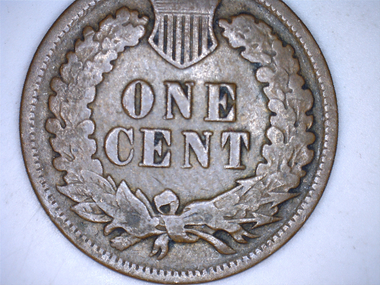 18962.jpg