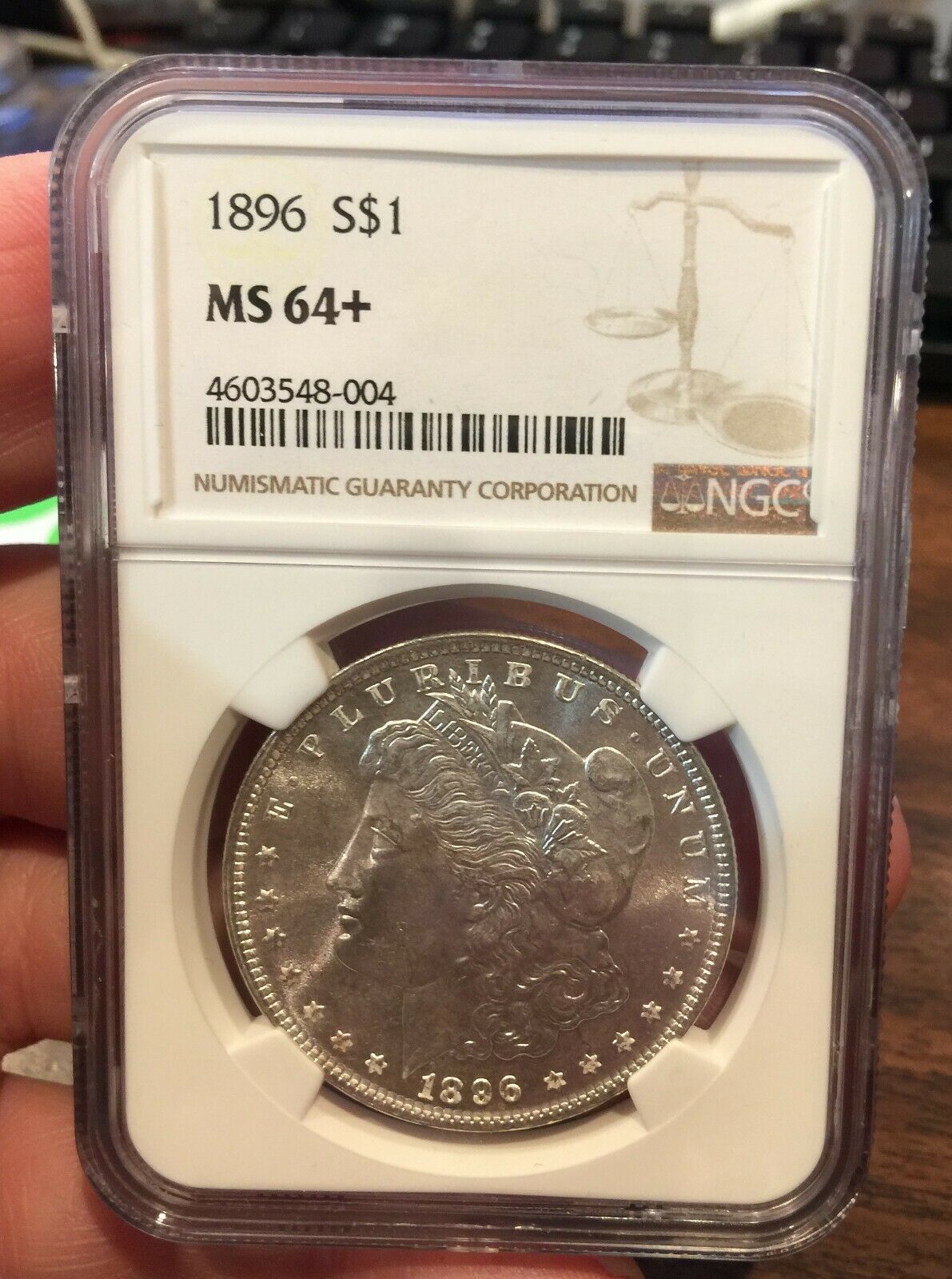 1896f.jpg