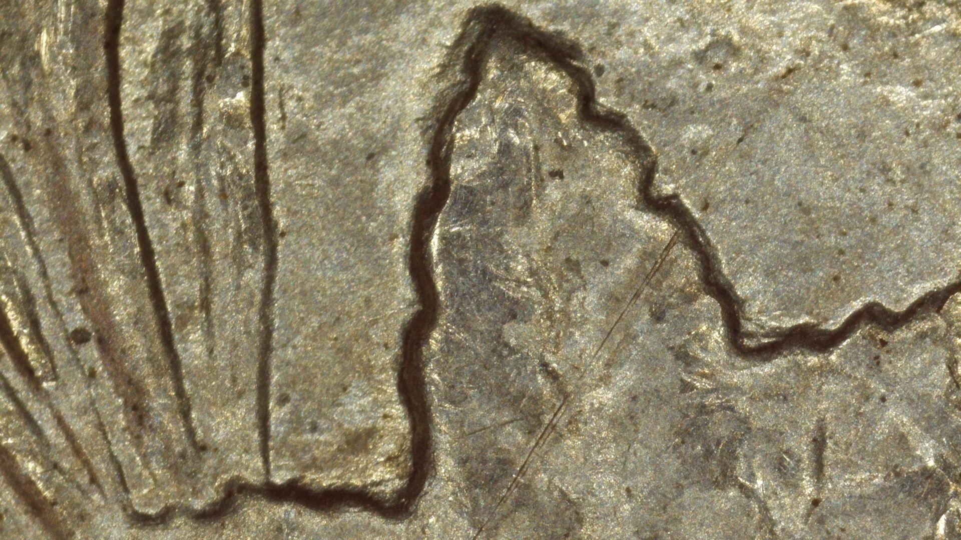 1897 $1 Obv Leaf 13MP.JPG