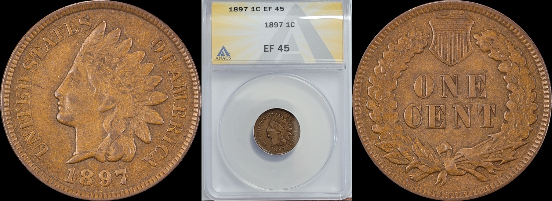 1897 Indian Cent  ANACS.jpg