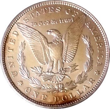 1897 Morgan Reverse.jpg