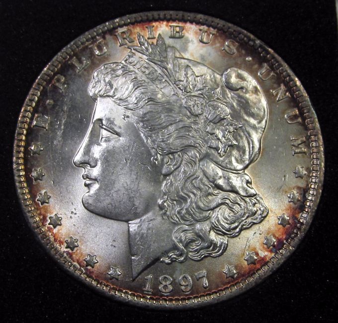 1897-VAM2.jpg