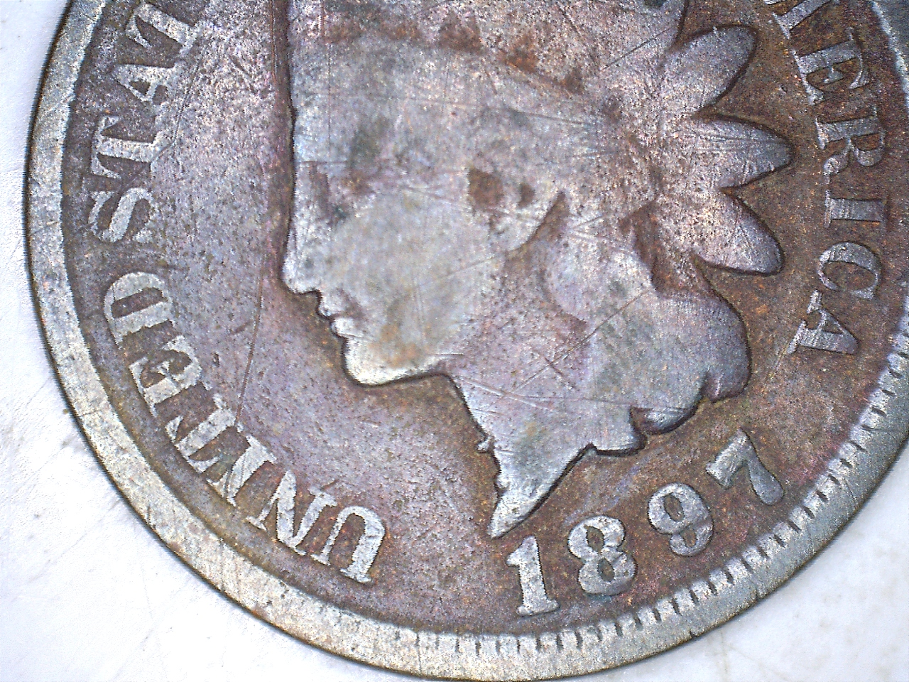 18971.jpg