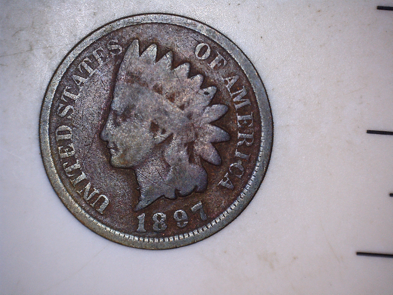18972.jpg