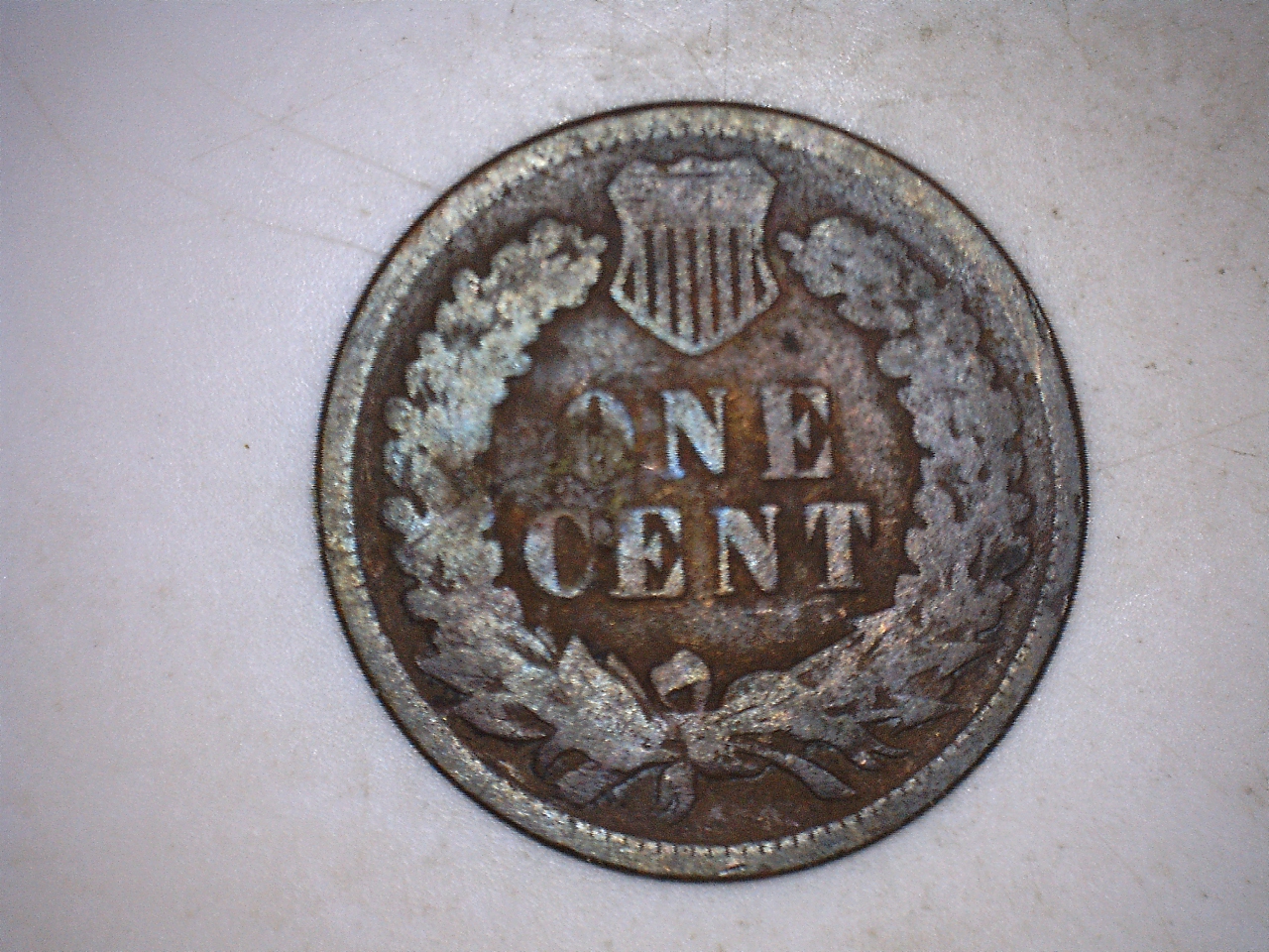 18973.jpg