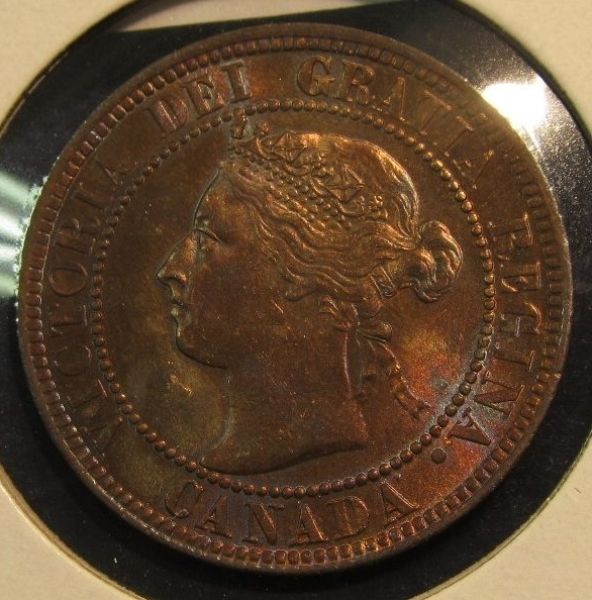 1899 1c_opt.jpg