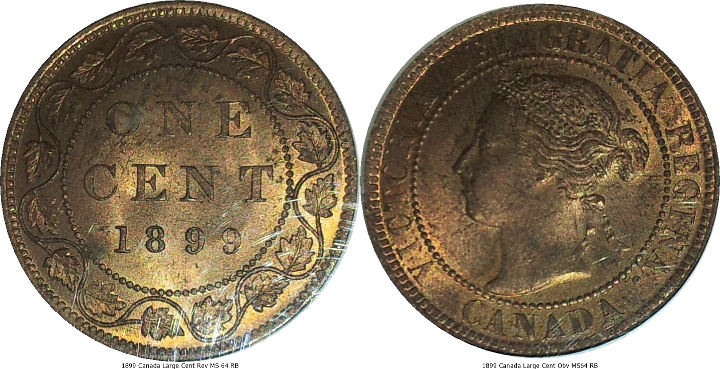 1899 Canada Large Cent Rev MS 64 RB-tile.jpg