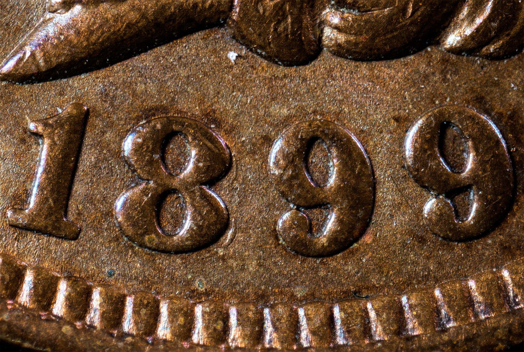 1899-Detail.jpg