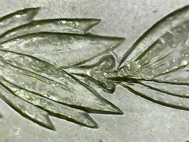 1899-O a1 07 doubled branch.jpg