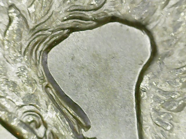 1899-O a1 10 eagle's neck.jpg