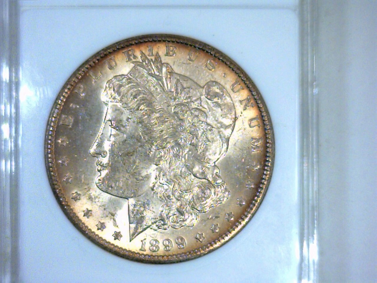 1899 o Morgan OBV. 31917.jpg