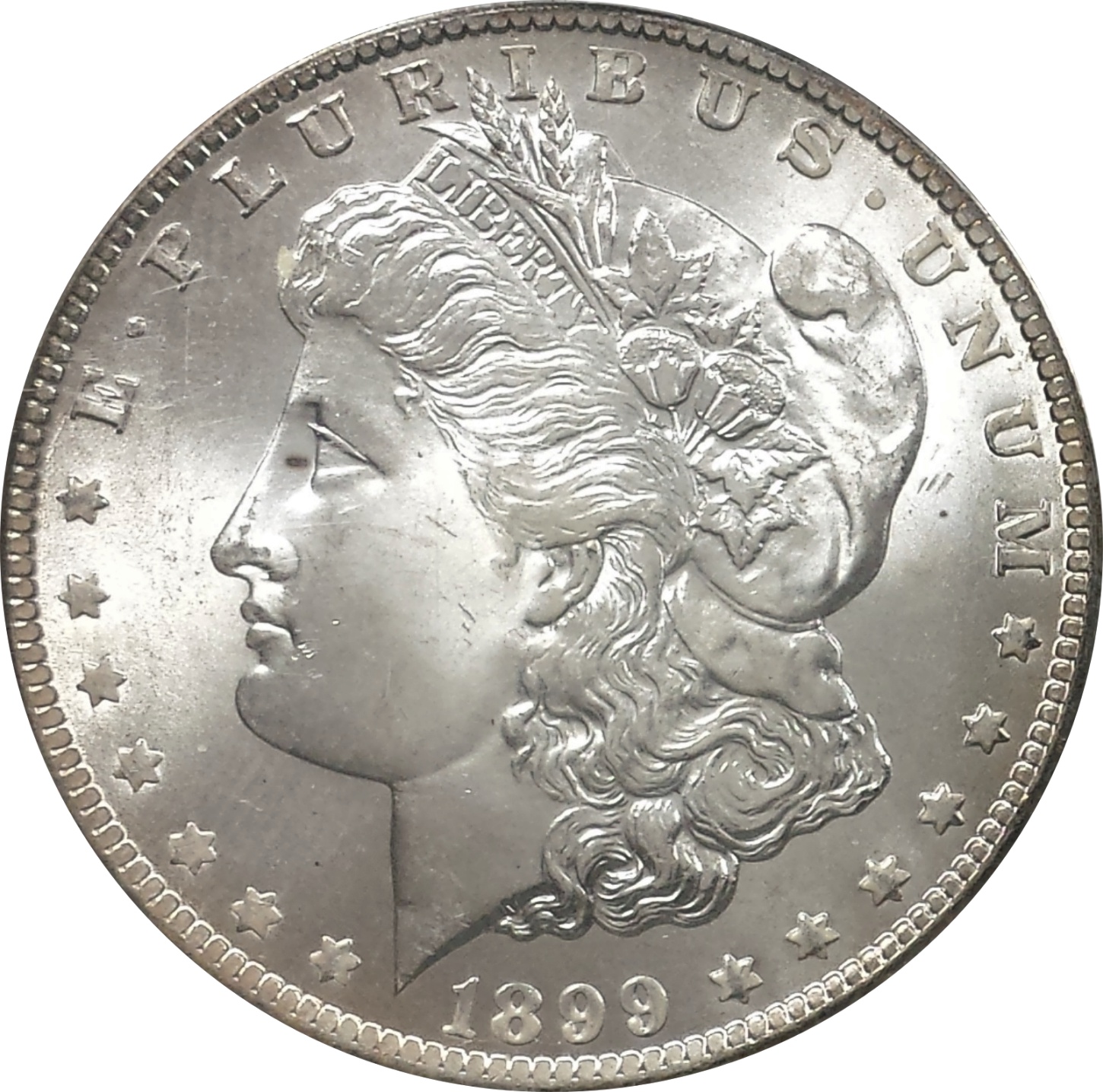 1899-O_120032.jpg