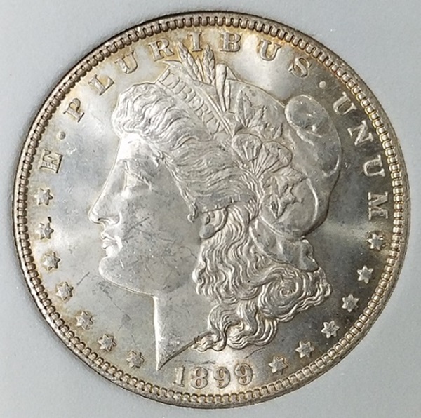1899-p.jpg