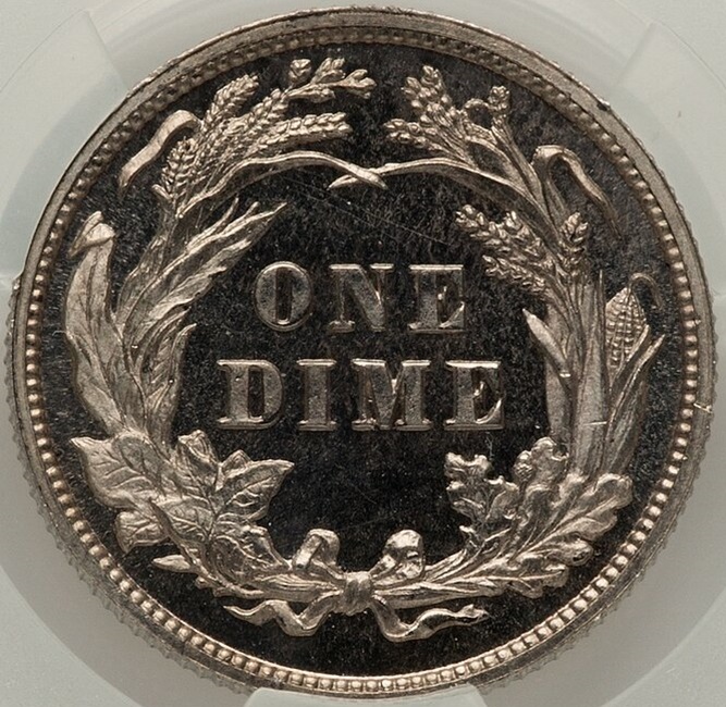 1899_10c_PR66_dent_zoom.jpeg