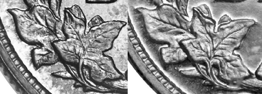 1899PR67_vs_1900PR66_leftleaf_BW.JPG