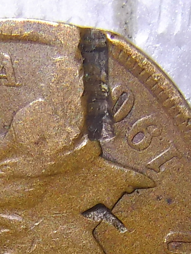 190- Indian Head Penny Obv [closeup].jpg
