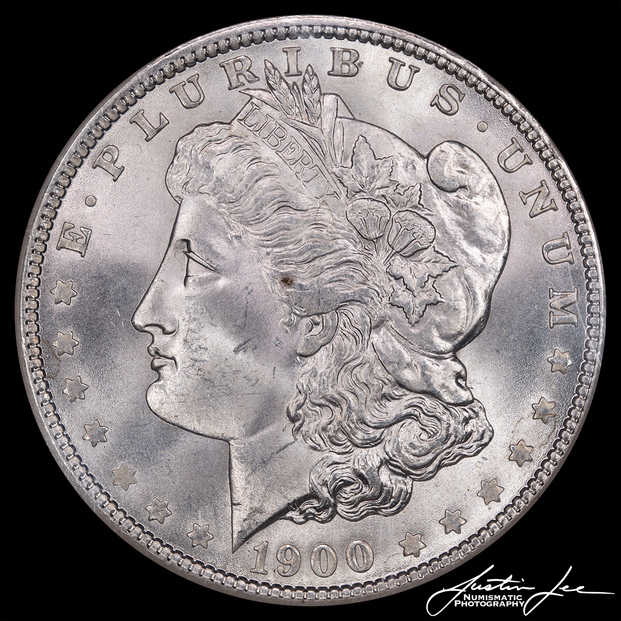 1900-Morgan-Dollar-Obverse.jpg