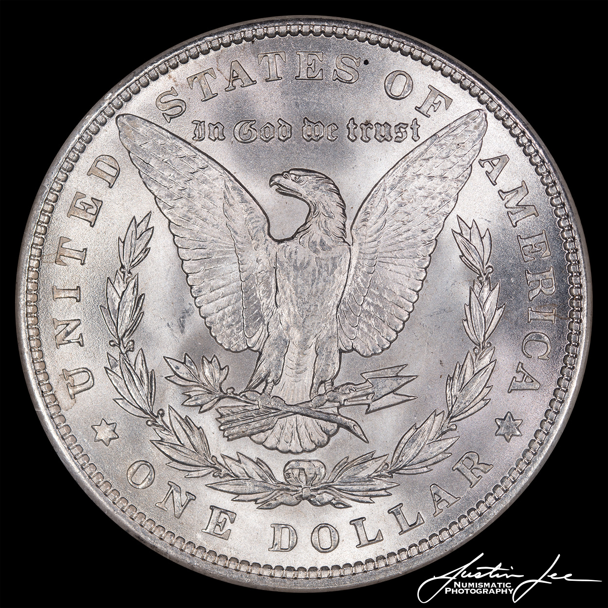 1900-Morgan-Dollar-Reverse.jpg