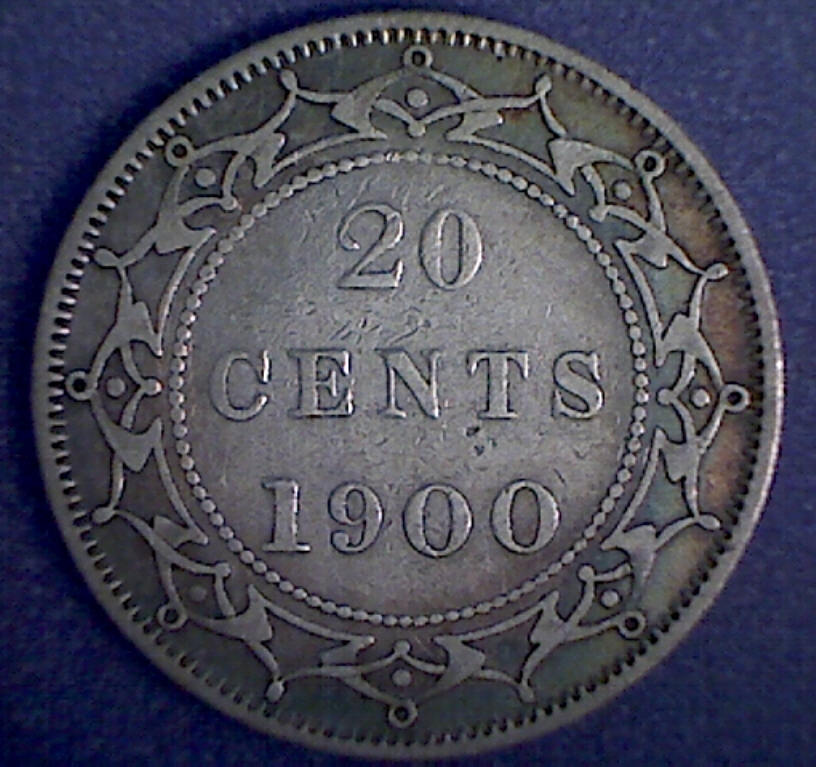 1900 newf r.jpg