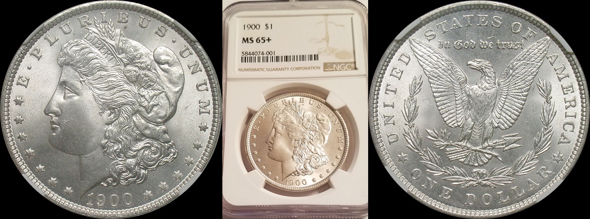 1900 NG 65 plus 1a-horz.jpg
