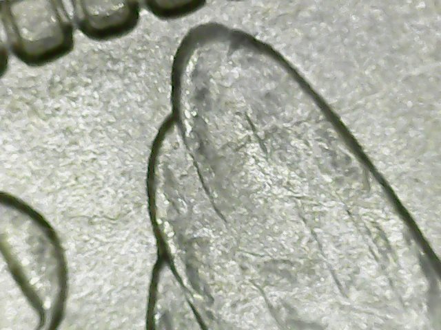 1900-o a1 05 die crack uniteD feather.jpg