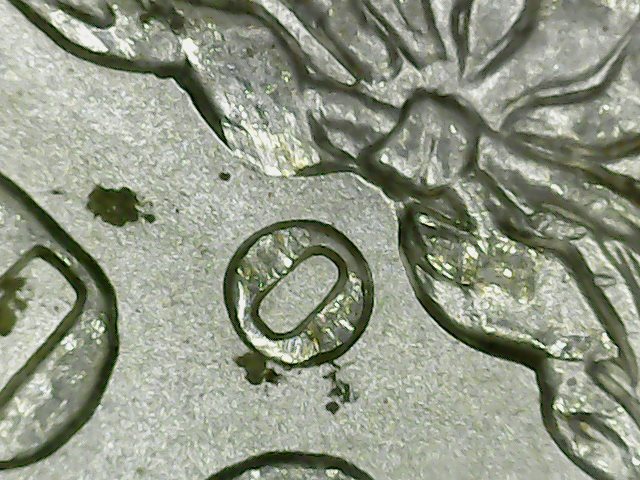 1900-o a1 14 mintmark with a hint of CC.jpg