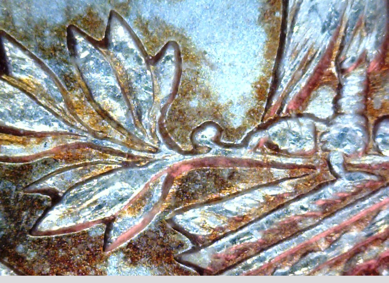 1900 O double olive 1.jpg