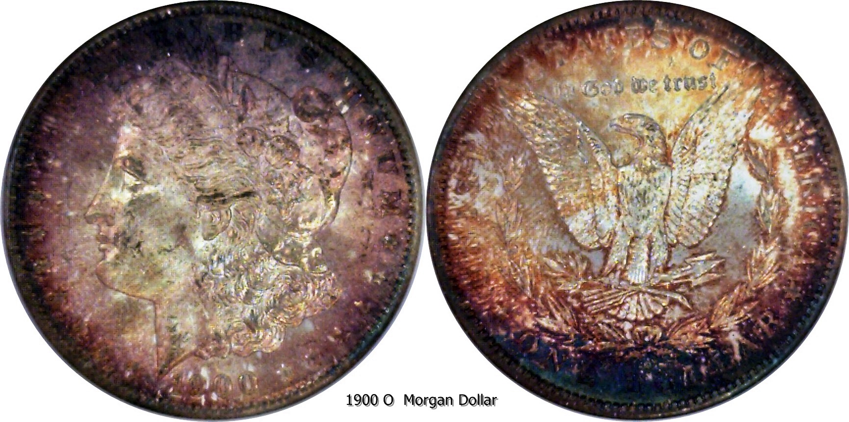 1900 O Toned Morgan Dollar.jpg