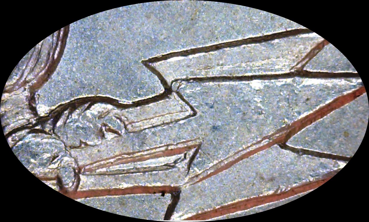 1900 P Morgan v 24 Arrow heads-crop.jpg
