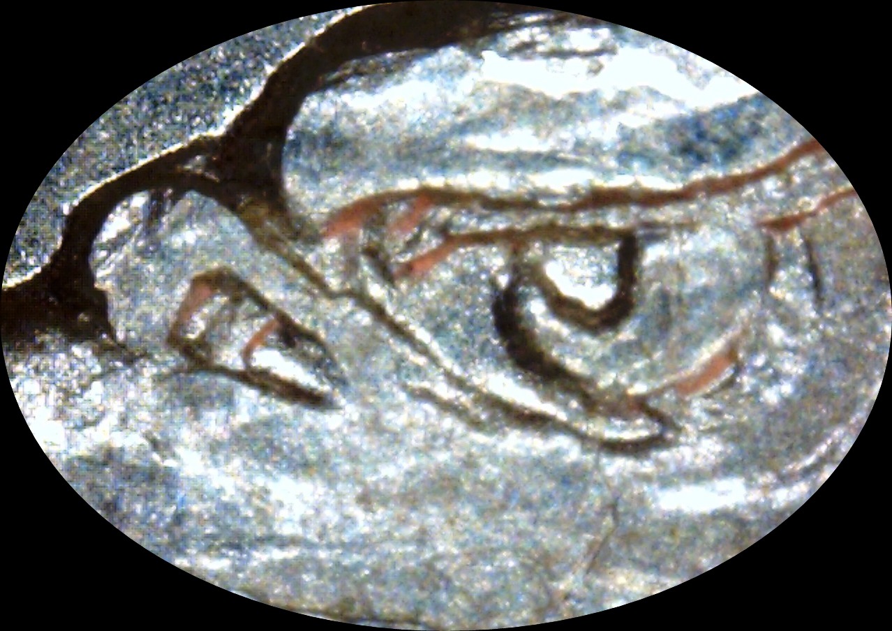 1900 P Morgan V 24 Eagle eye-crop.jpg