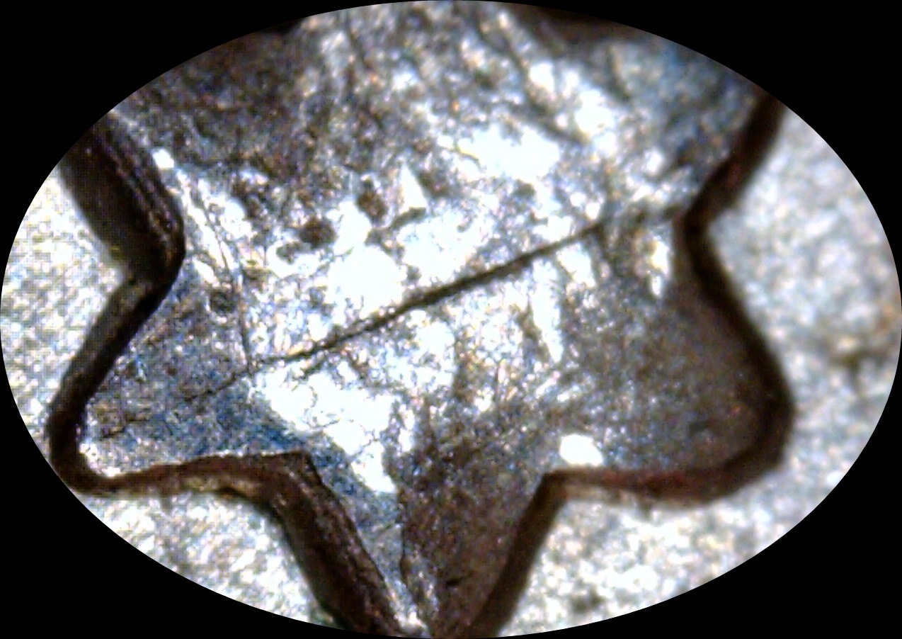 1900 P Morgan V24 quad stars-crop.jpg