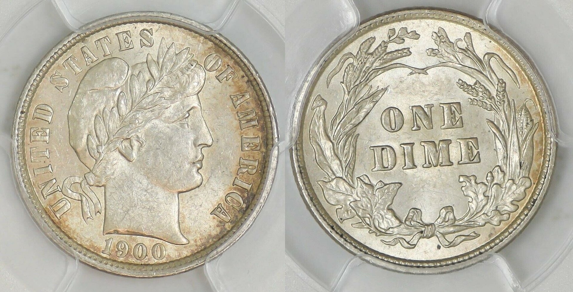 1900-P_Type2_combo.jpg