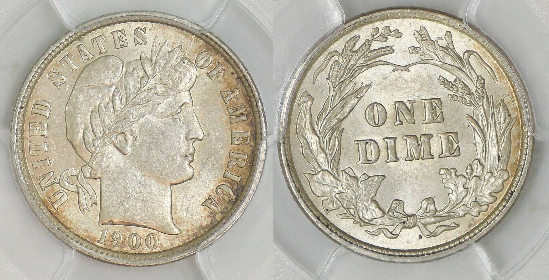 1900-P_Type2_combo.jpg