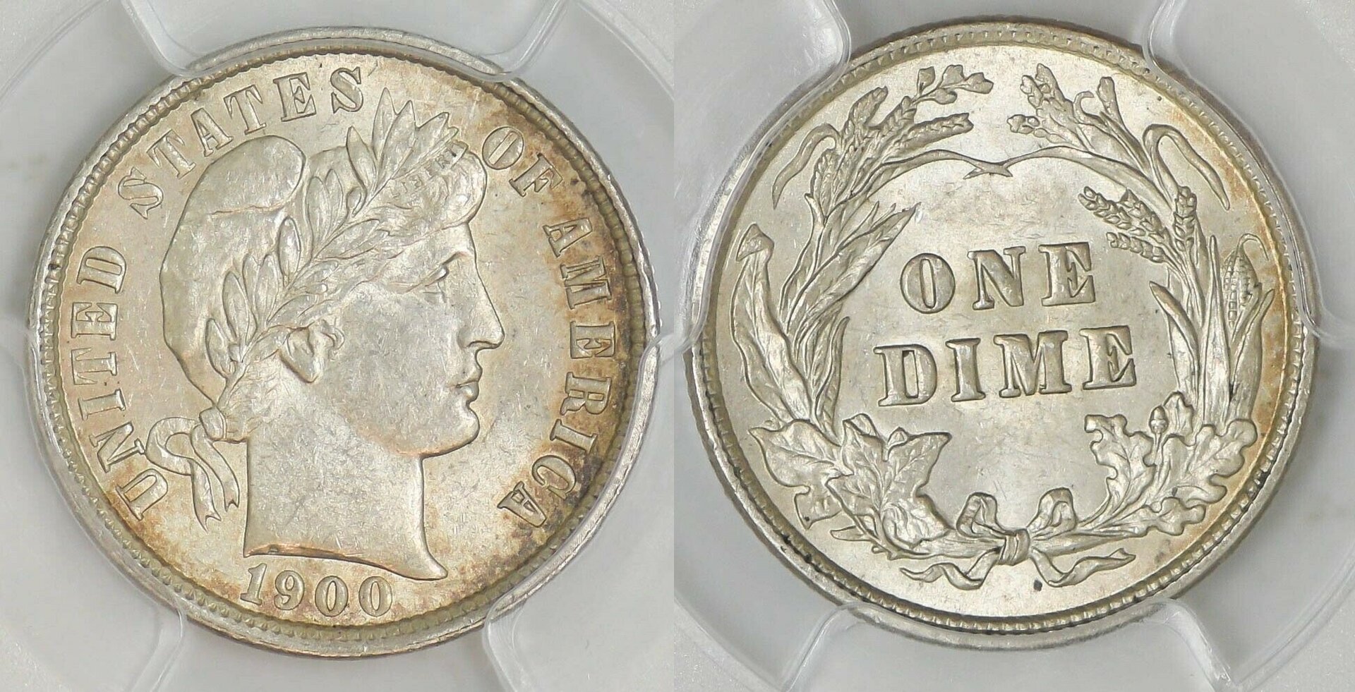 1900-P_Type2_combo.jpg