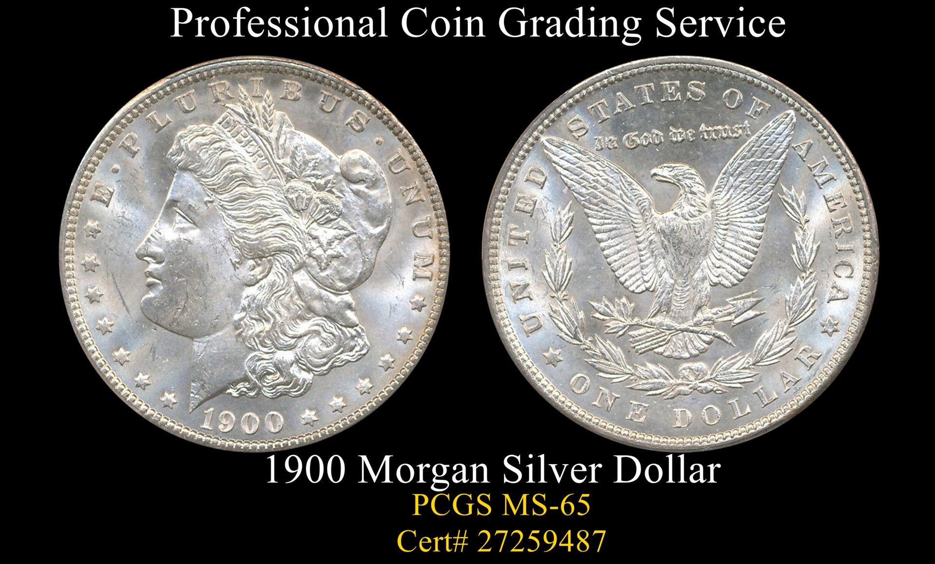 1900 pcgs morgan complete ms63.jpg