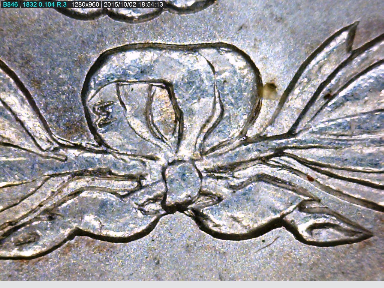 1900 Vam 17 Bow.jpg