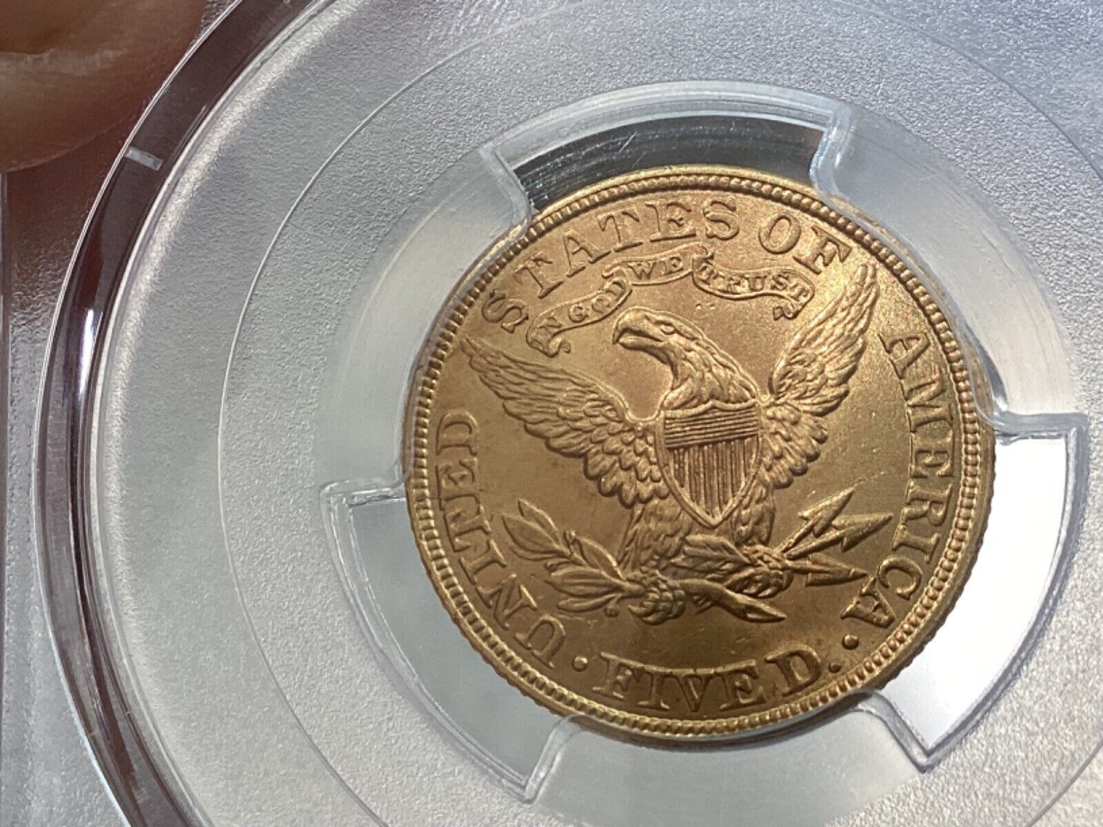 19005r.jpg