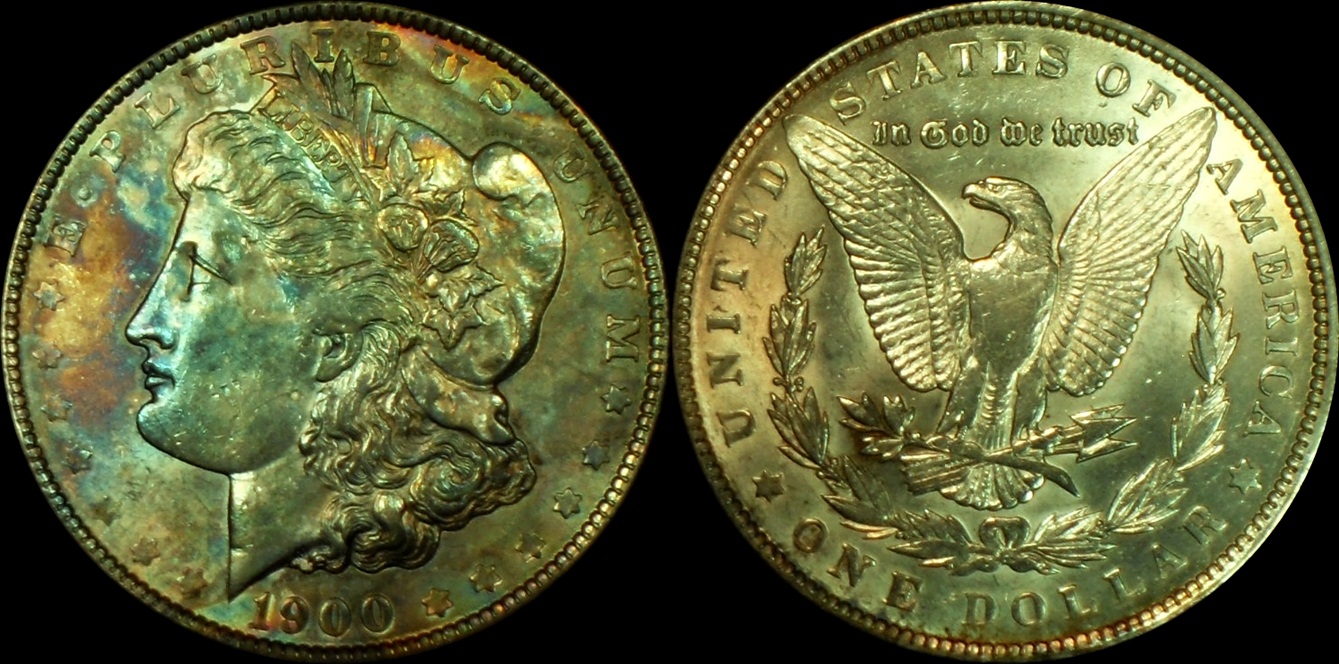 1900_P_Fin.jpg
