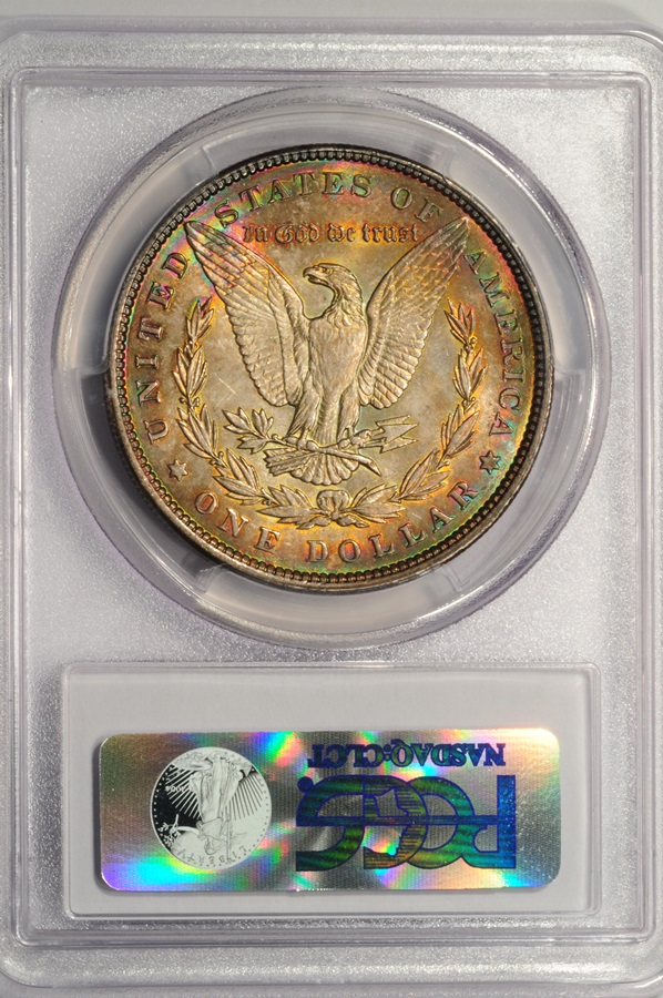 1900d.jpg
