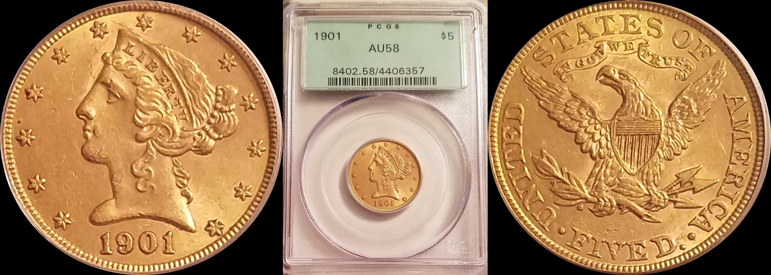 1901 $5 Gold 2-horz.jpg