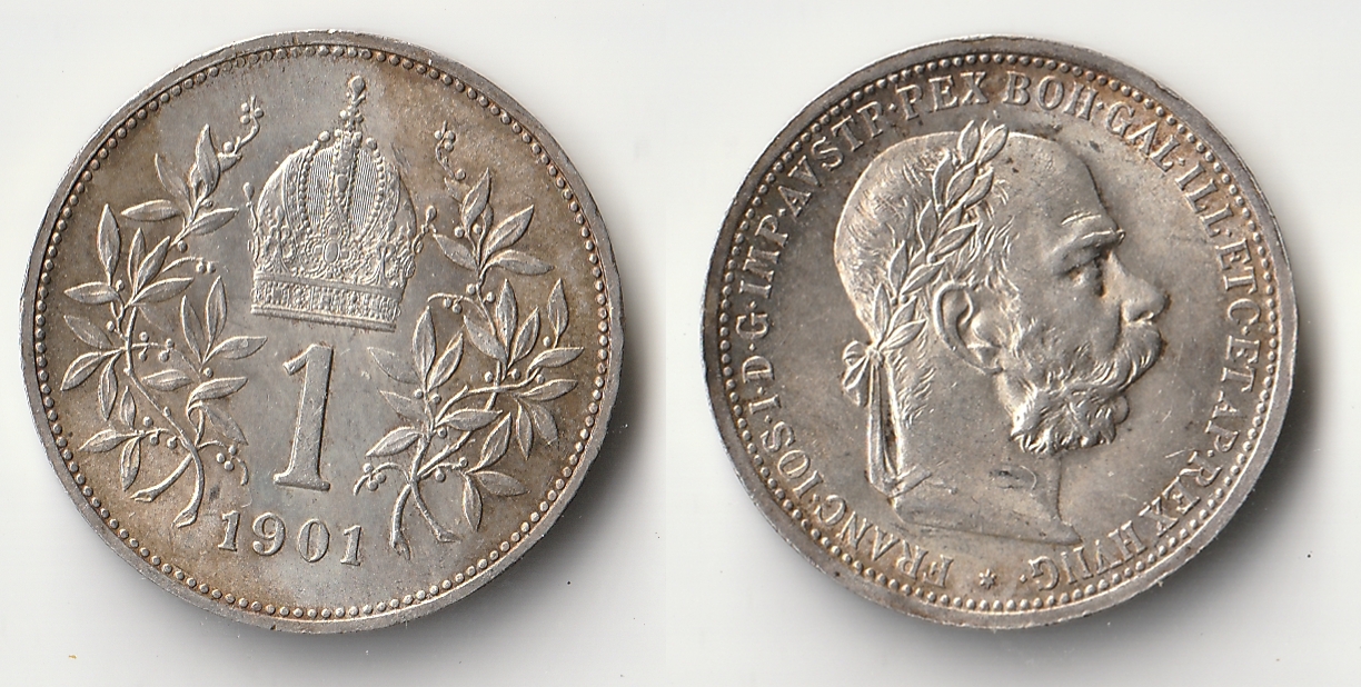 1901 austria 1 corona.jpg