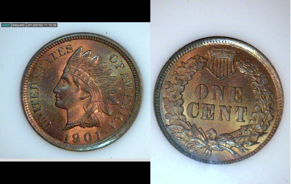 1901 Cent p-horz.jpg