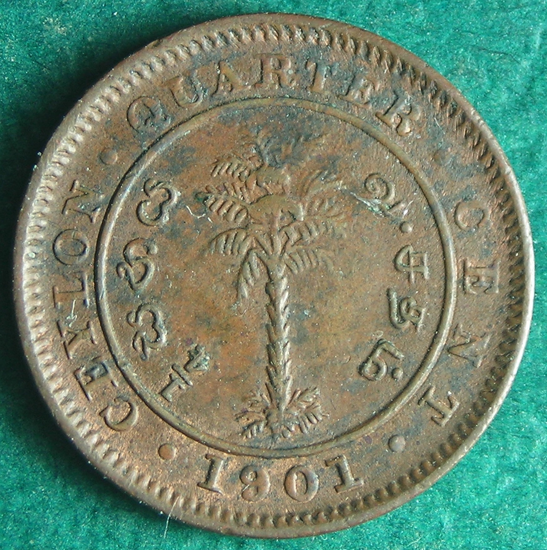 1901 Cey 1-4 c rev.JPG