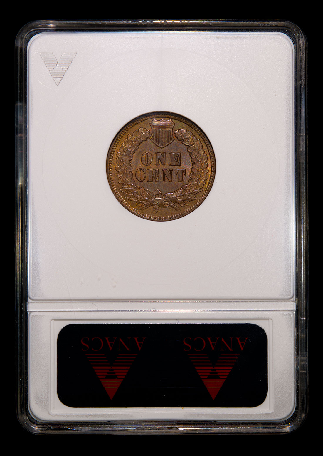 1901-Indian-Head-Cent-ANAC-MS64-Slab-back.jpg