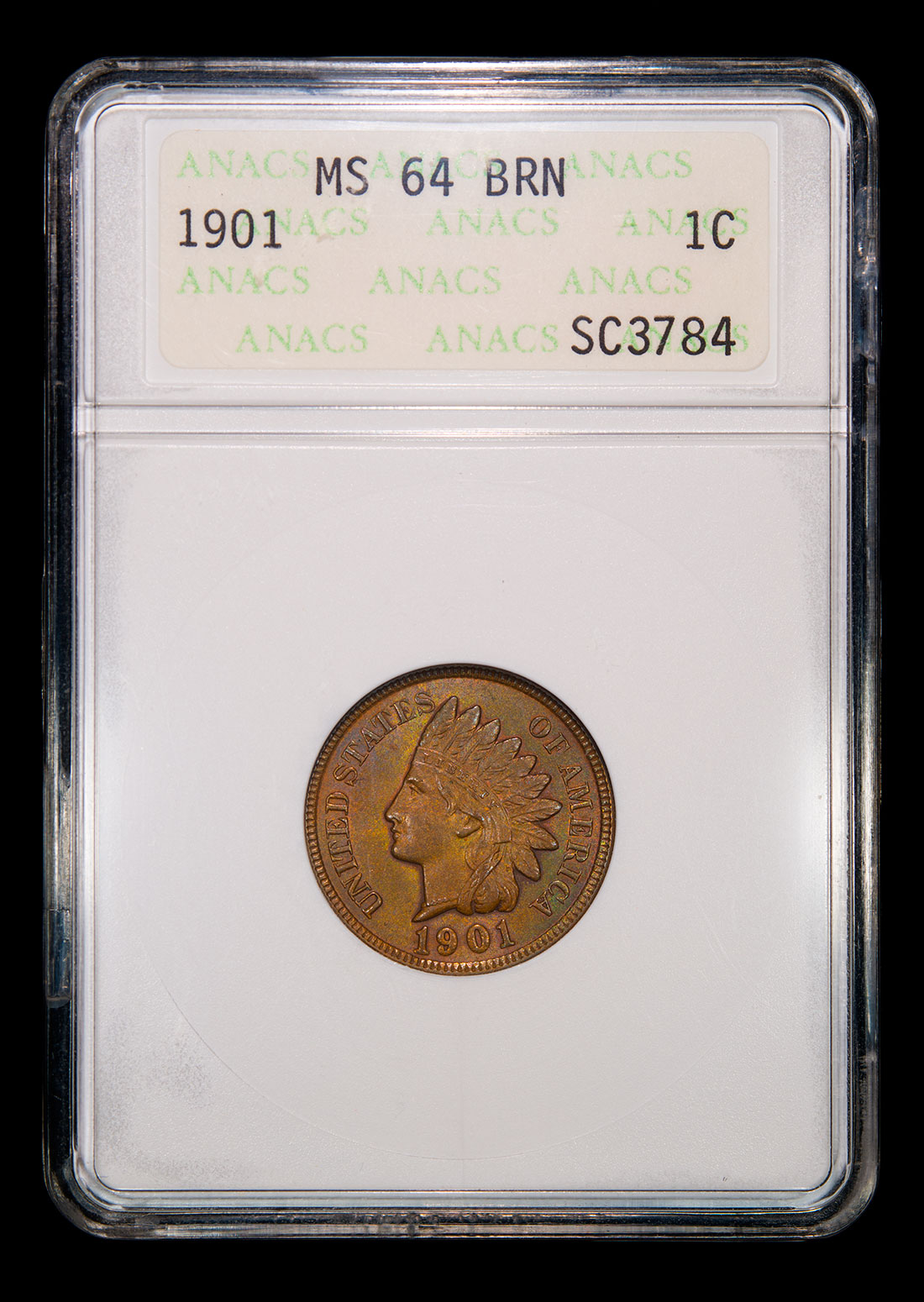 1901-Indian-Head-Cent-ANAC-MS64-Slab-front.jpg