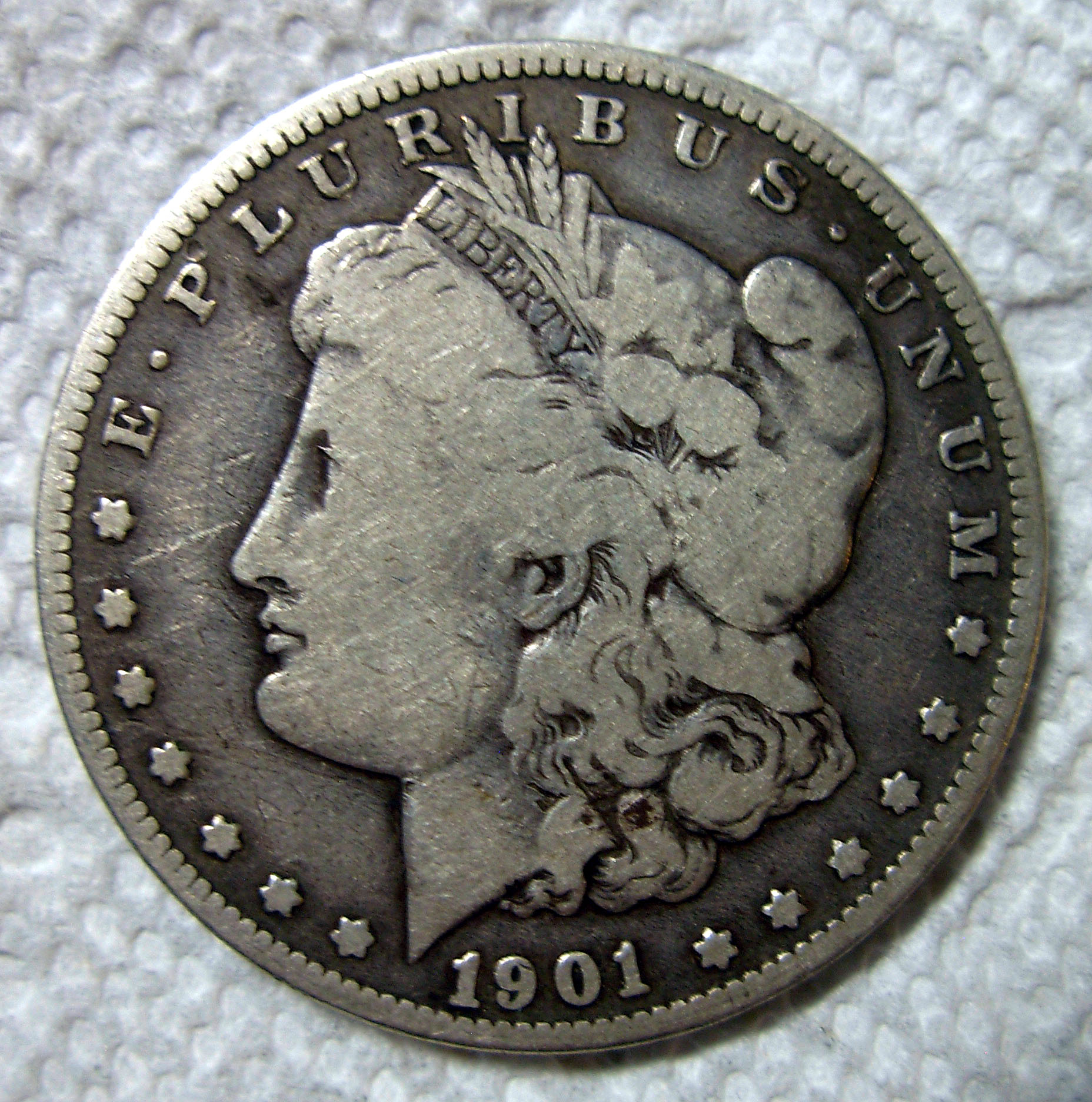 1901 Morgan Dollar.jpg
