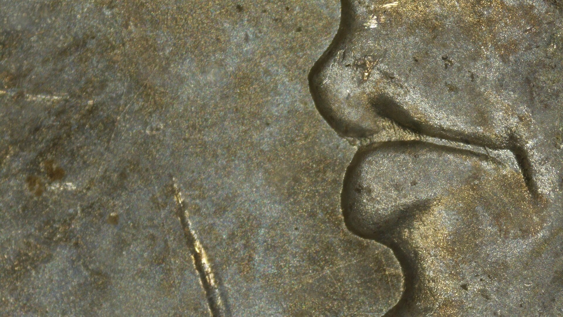 1901-O $1 Obv 52MP Lips Resized.jpg