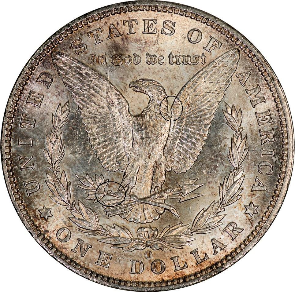 1901 O Morgan Dollar-1.jpg